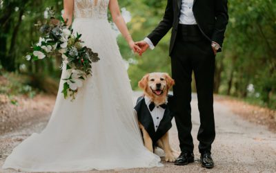 5 Tips for Including Children & Animals in Your Wedding
