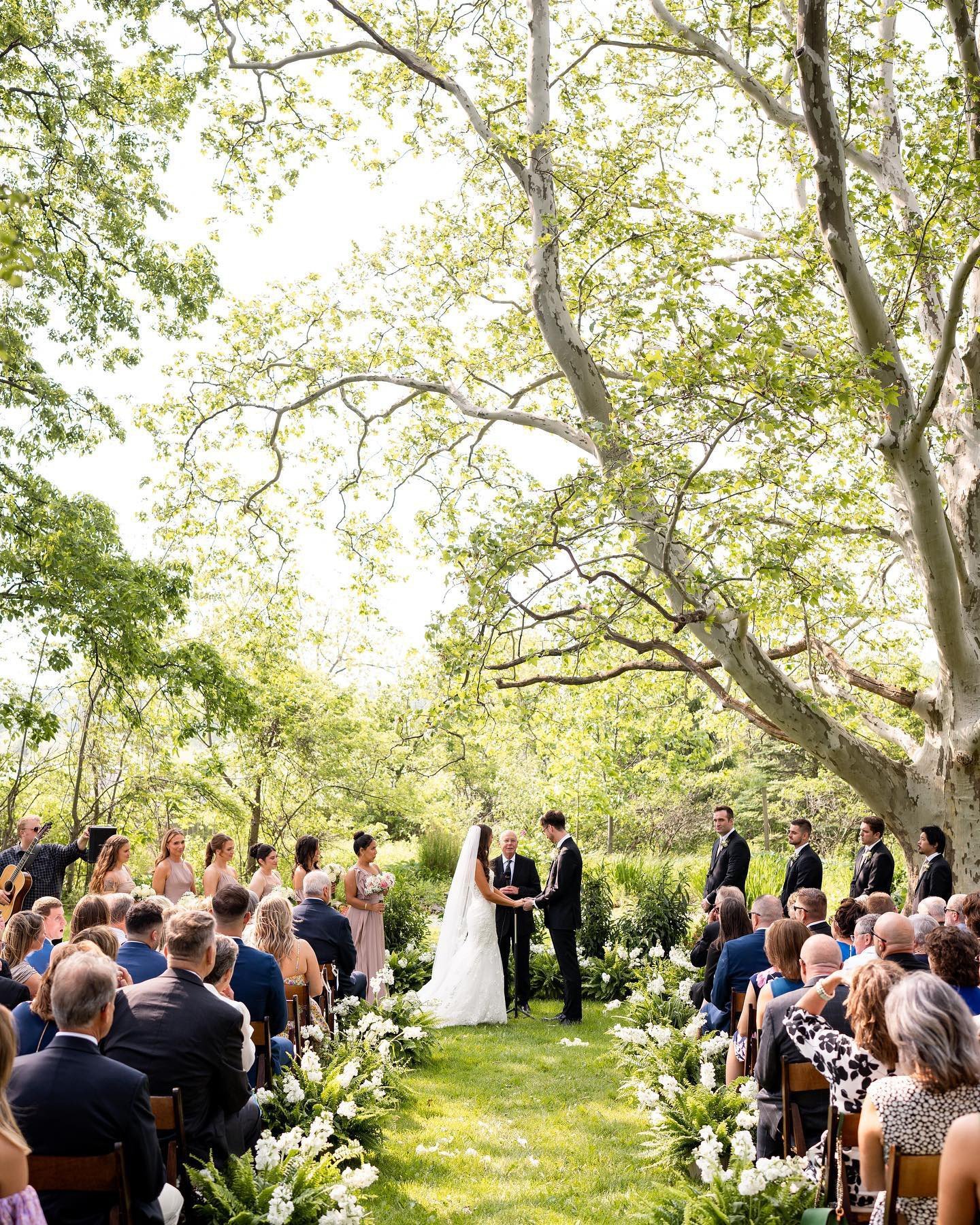 Wedding ceremony in a garden with white flowers Bride and groom exchanging vows in a garden. Guests seated on either side.